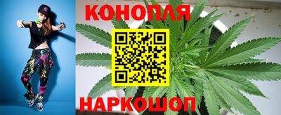 прущие грибы Бузулук