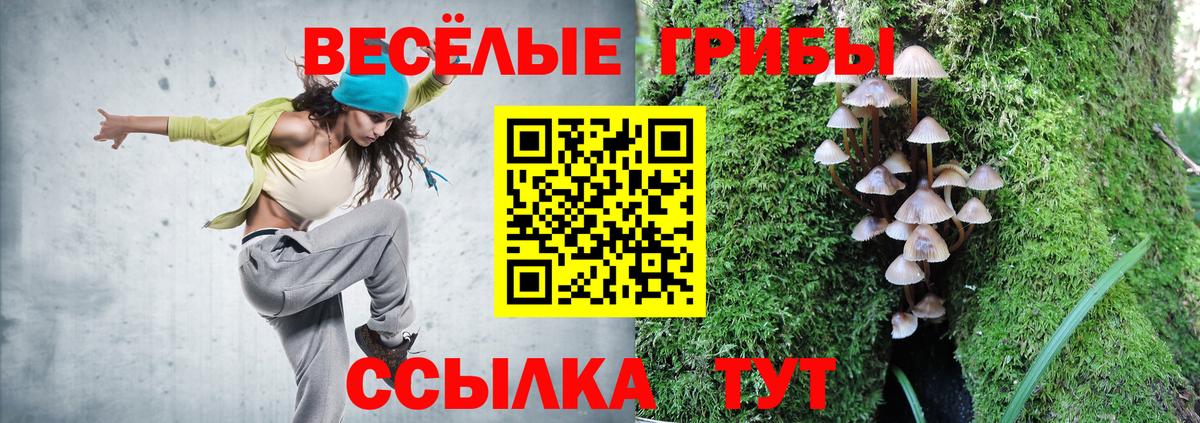 МЕФ   COCAIN  Каннабис  МДМА  Кохма  Вход с VPN  ГАШИШ 