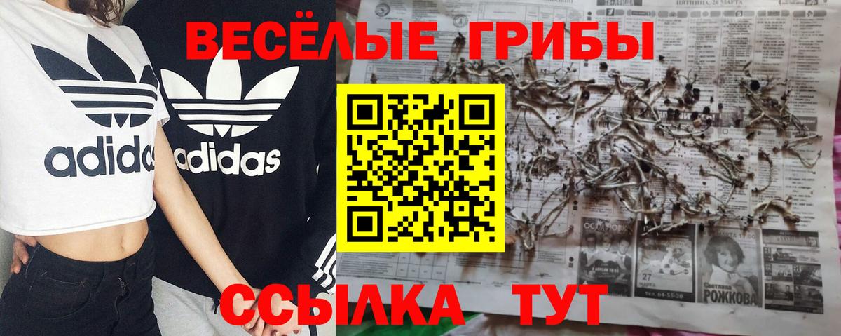 Галлюциногенные грибы прущие грибы  Псилоцибиновые грибы Psilocybe  Вход с VPN  Кохма 