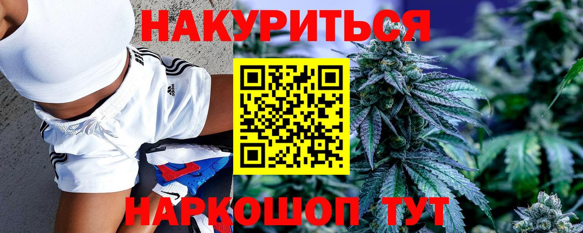 Каннабис OG Kush Кохма